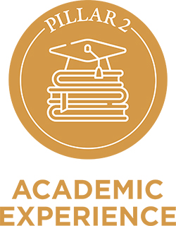 Pillar 2 Academic Experience icon