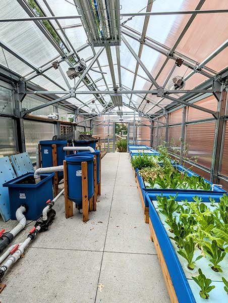 Coe College greenhouse