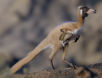 Coe College assistant professor of biology helps uncover a crucial dino discovery